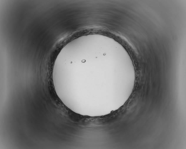 X0000086900967200705141639