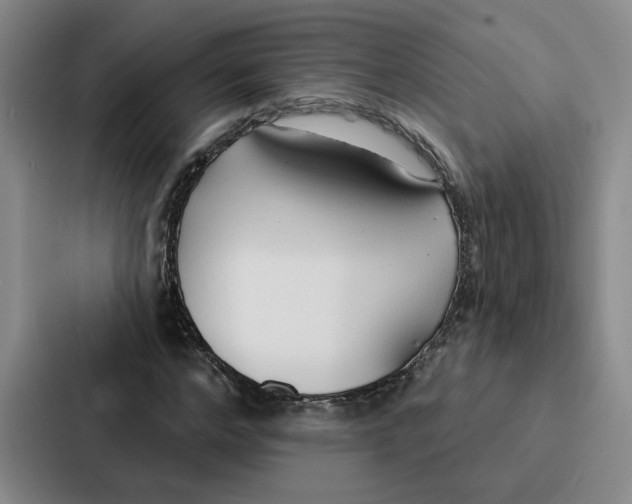 X0000086900968200705141639