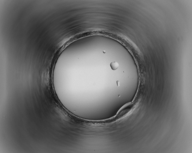 X0000086900969200705141639