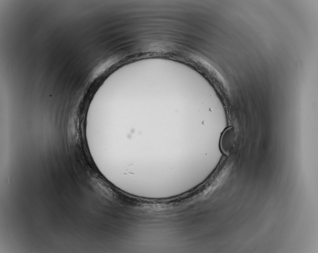 X0000086900970200705141639