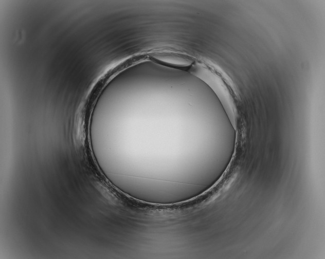 X0000086900973200705141639