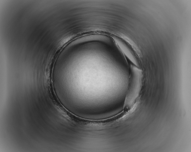 X0000086900977200705141639