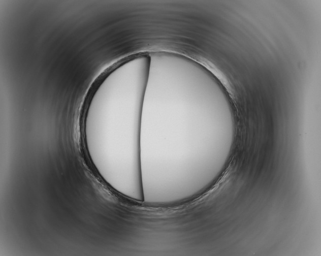 X0000086900980200705141639