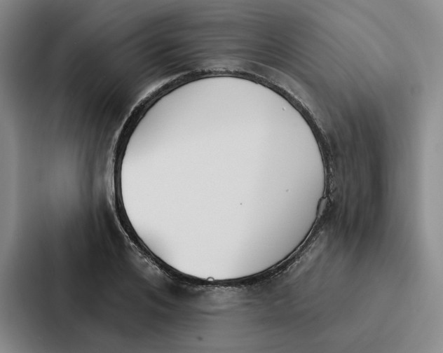 X0000086900984200705141639