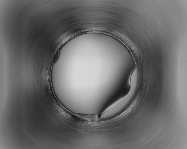 X0000086900985200705141639