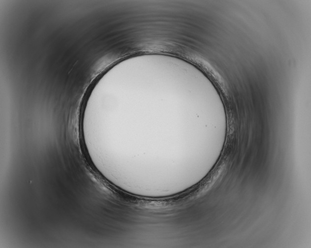 X0000086900986200705141639