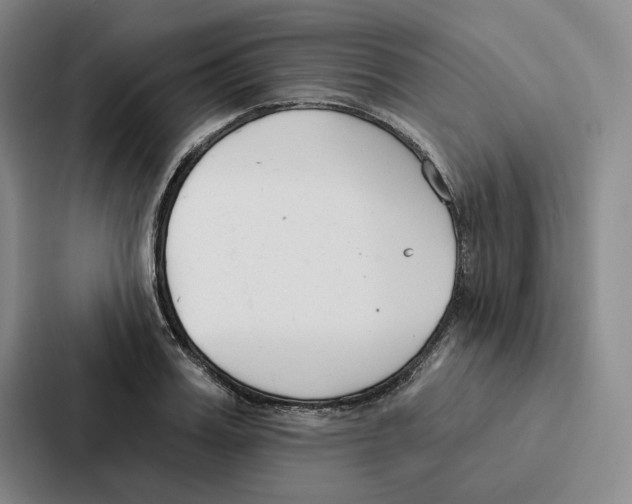 X0000086900987200705141639