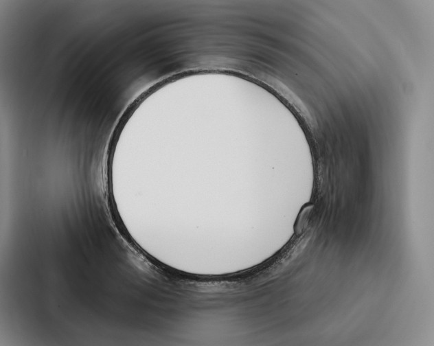 X0000086900988200705141639