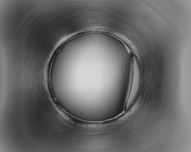 X0000086900989200705141639