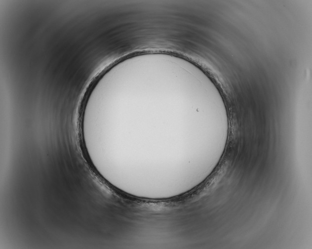 X0000086900990200705141639