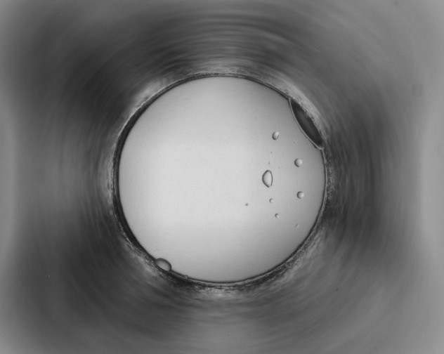 X0000086900994200705141639