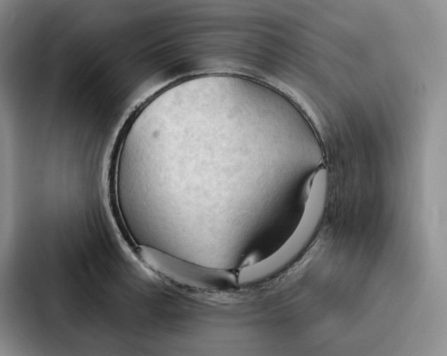 X0000086900995200705141639