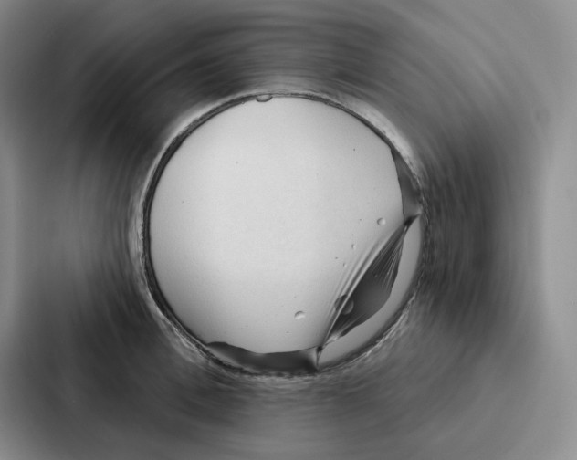 X0000086900996200705141639