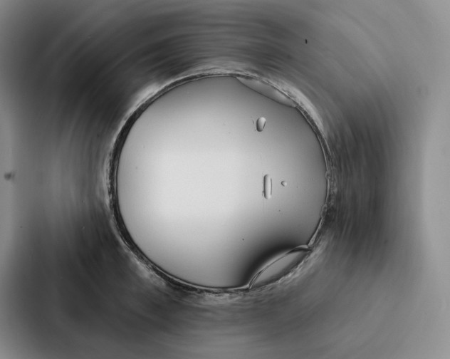 X0000086900997200705141639