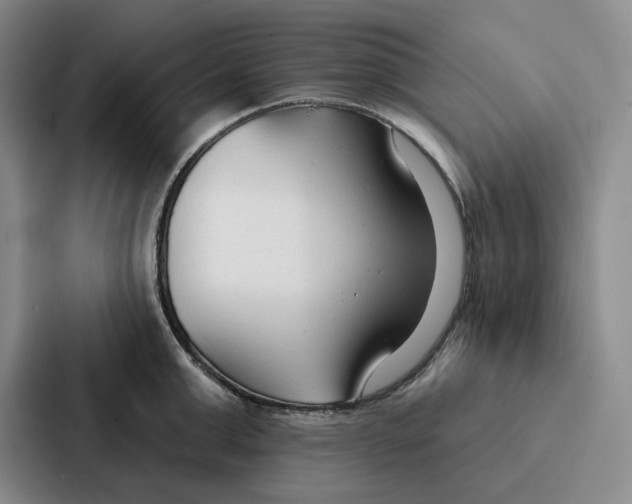 X0000086900999200705141639