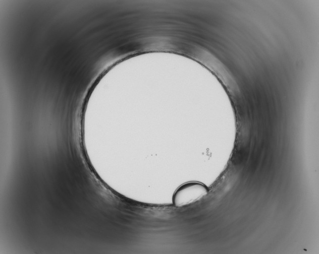 X0000086901000200705141639