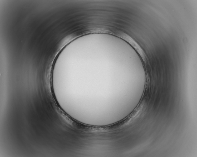 X0000086901002200705141639