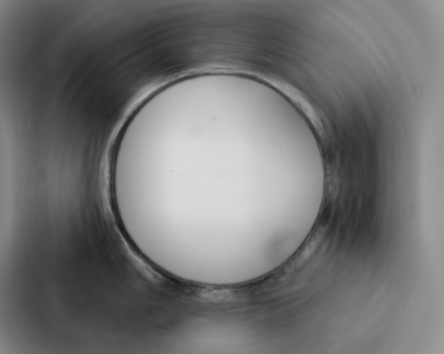 X0000086901006200705141639