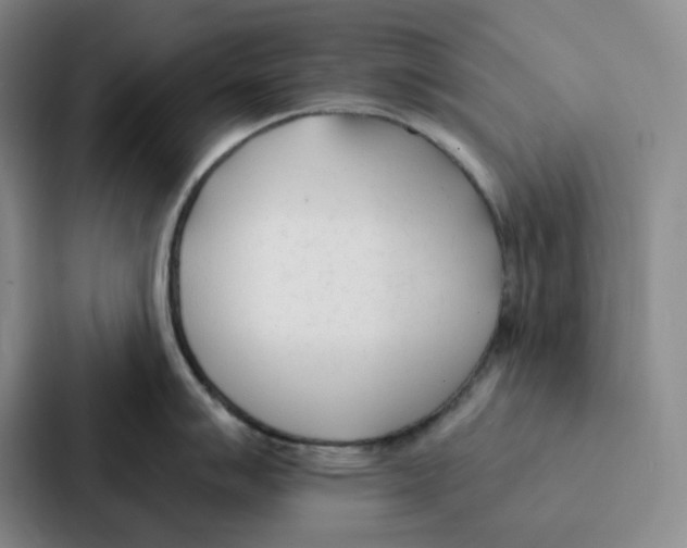 X0000086901007200705141639