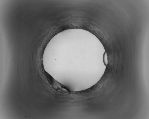 X0000086901009200705141638