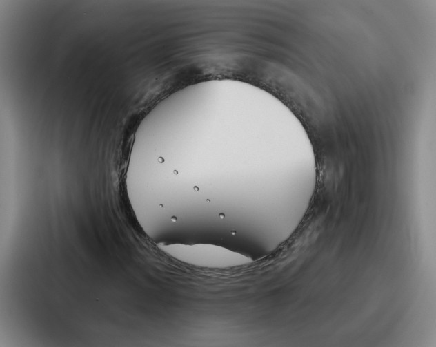 X0000086901012200705141638