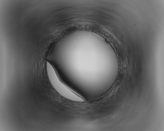 X0000086901013200705141638