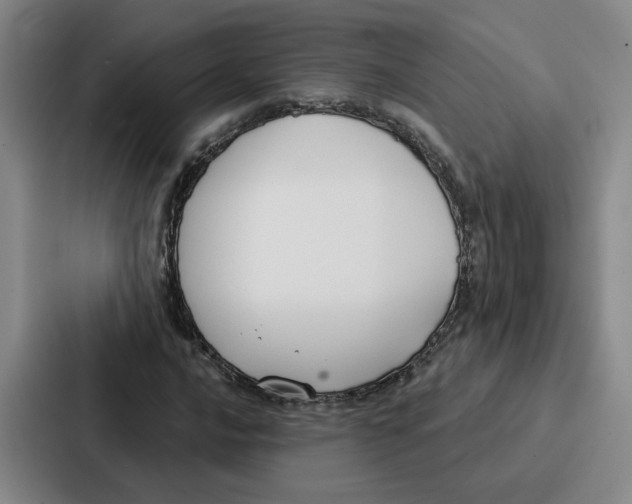 X0000086901016200705141638