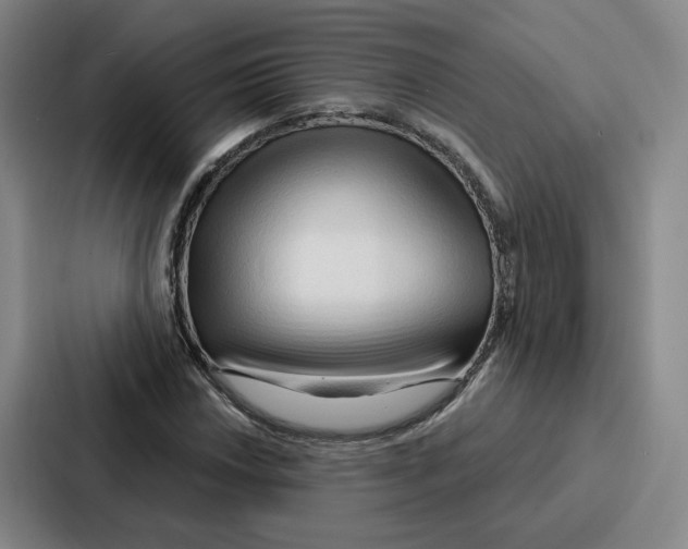 X0000086901018200705141638