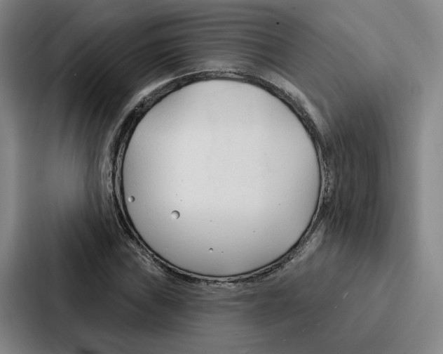 X0000086901019200705141638