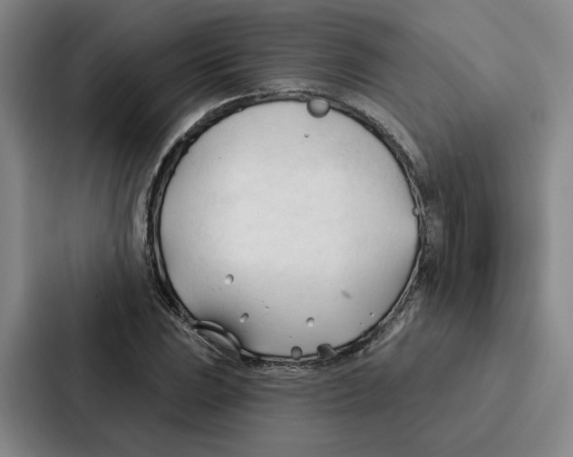 X0000086901023200705141638