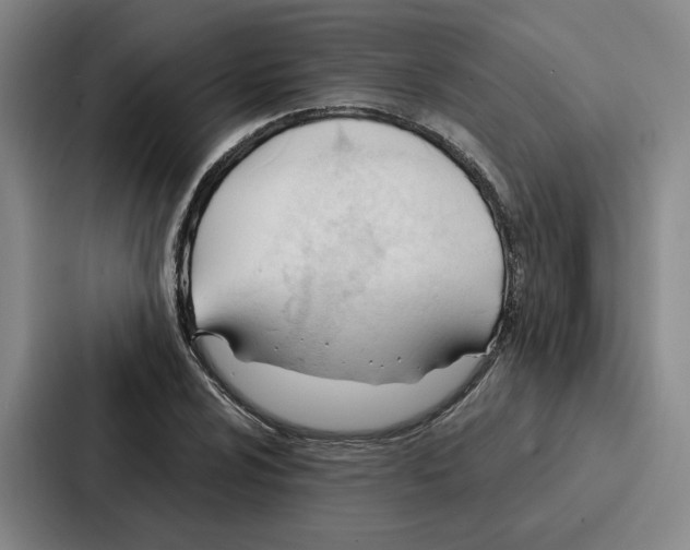 X0000086901024200705141638