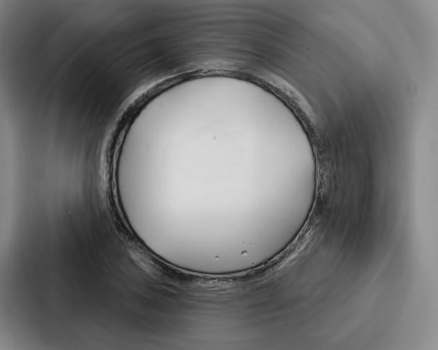 X0000086901027200705141638