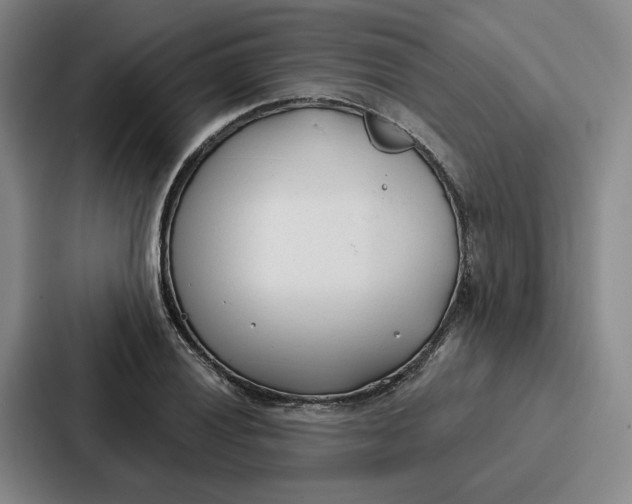 X0000086901028200705141638