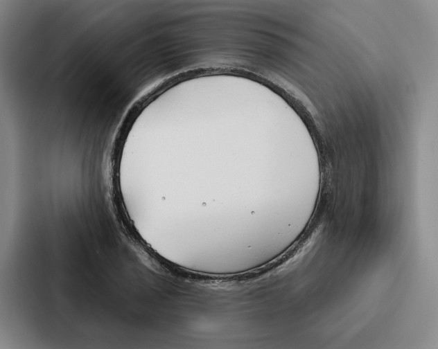 X0000086901029200705141638