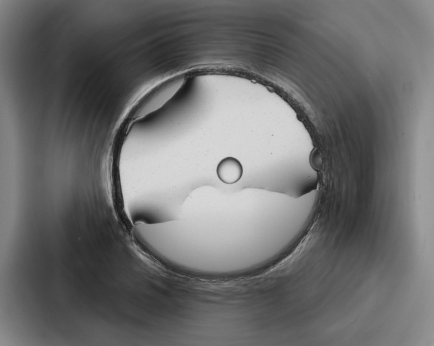 X0000086901030200705141638