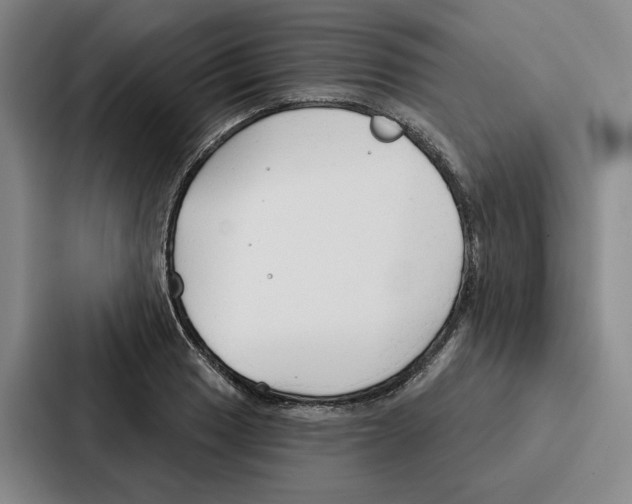 X0000086901033200705141638