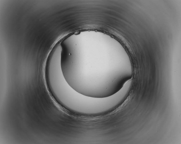 X0000086901034200705141638