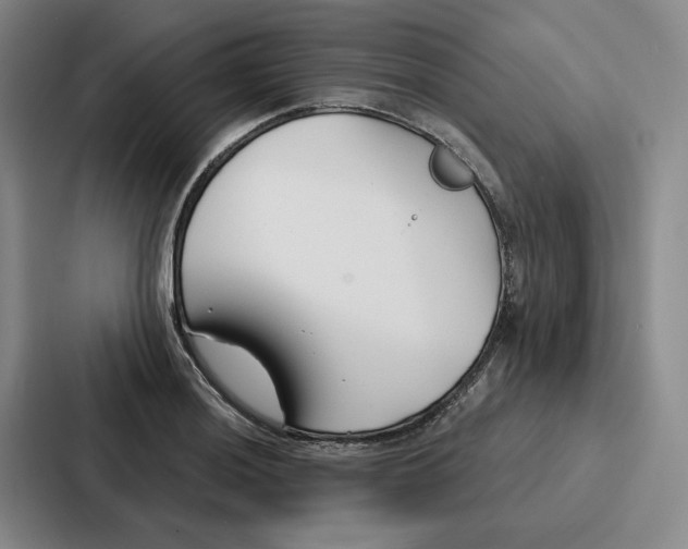 X0000086901036200705141638