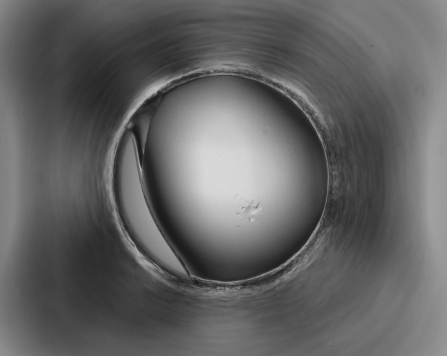 X0000086901038200705141638