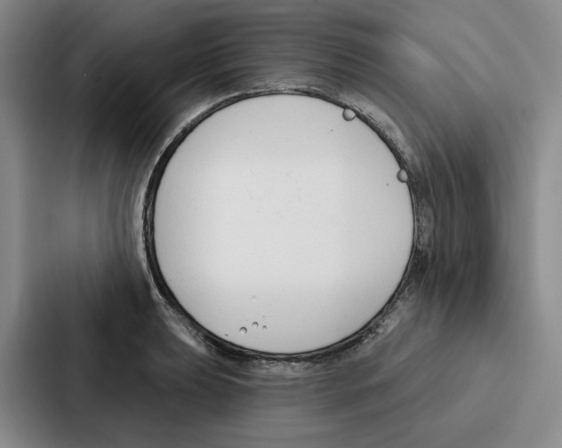 X0000086901039200705141638