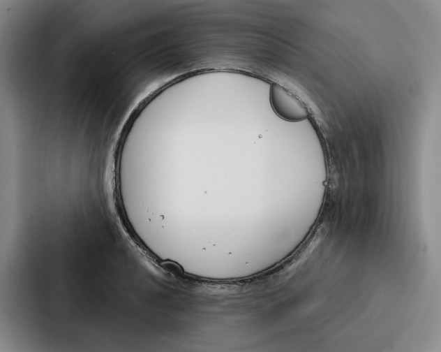 X0000086901040200705141638