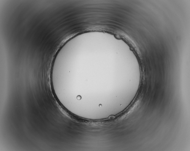 X0000086901041200705141638