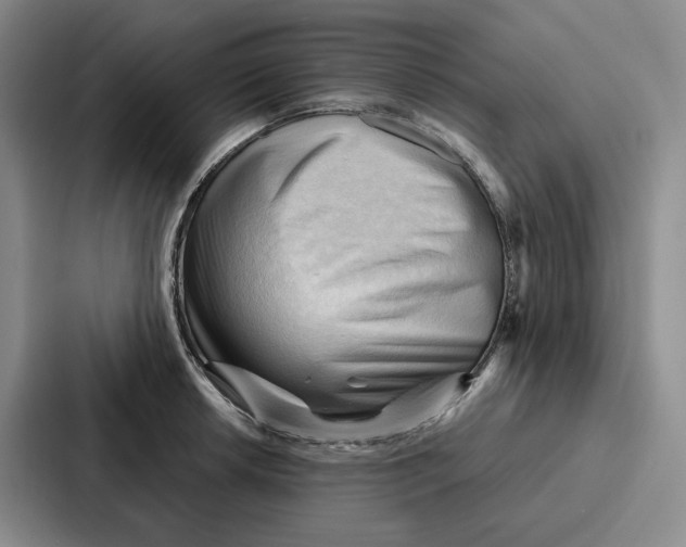 X0000086901042200705141638