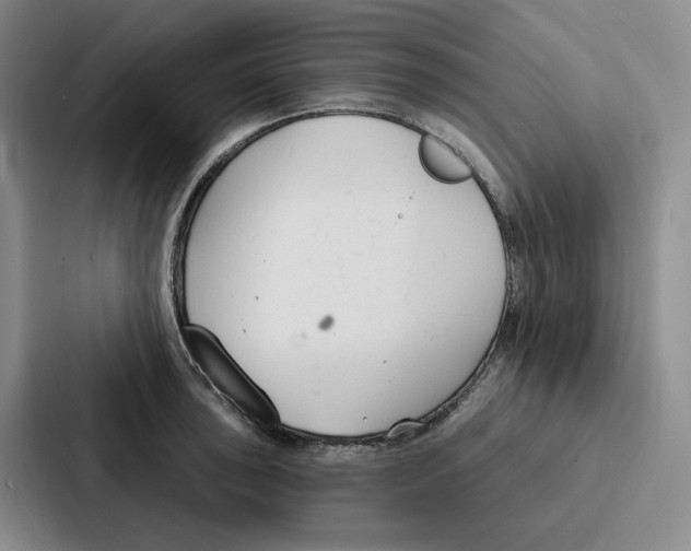 X0000086901043200705141638