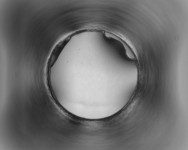 X0000086901045200705141638