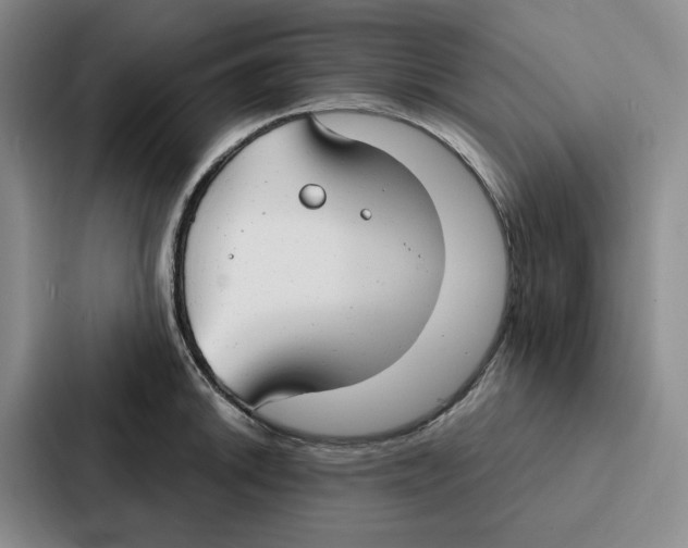 X0000086901046200705141638