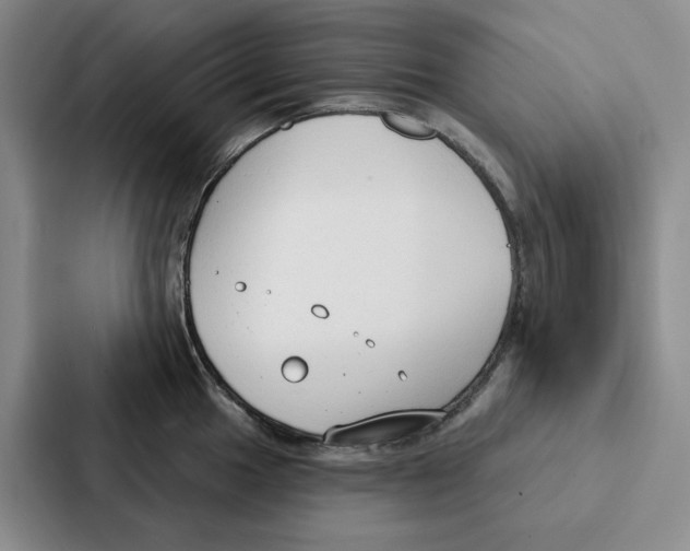 X0000086901049200705141639