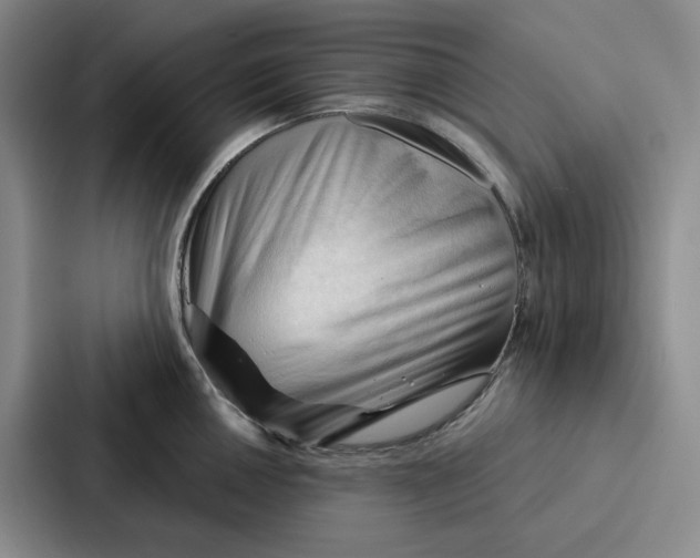 X0000086901050200705141639