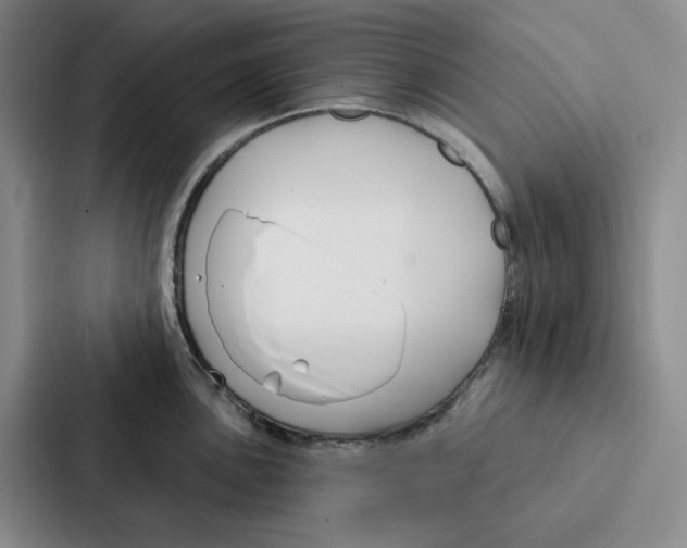 X0000086901051200705141639