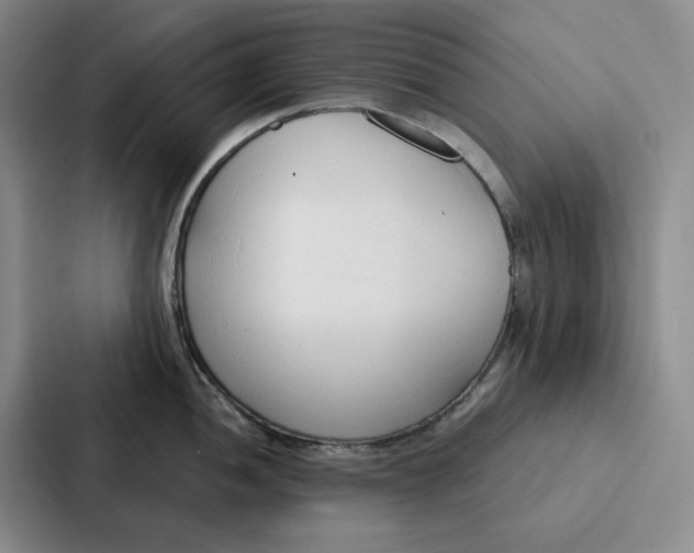 X0000086901052200705141639